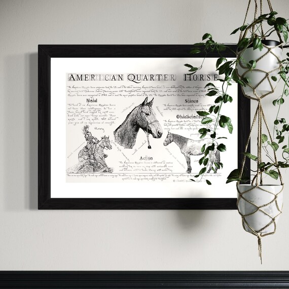 Vintage American Quarter Horse Drawing: Signed Art Print