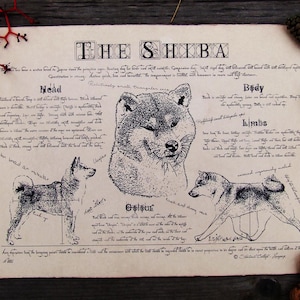 Antique styled dog standard Shiba image 1