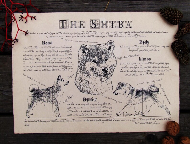 Antique styled dog standard Shiba image 1
