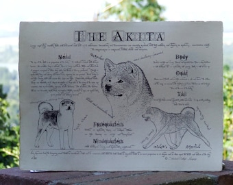 Antique styled dog standard - Akita