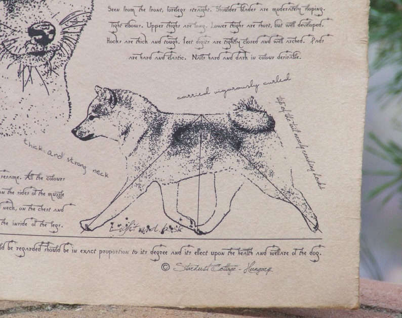Antique styled dog standard Shiba image 3