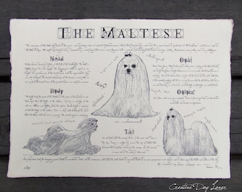 Vintage Maltese Poster: Dog Breed Standard Art Print in Antique Style Body Conformation Drawing