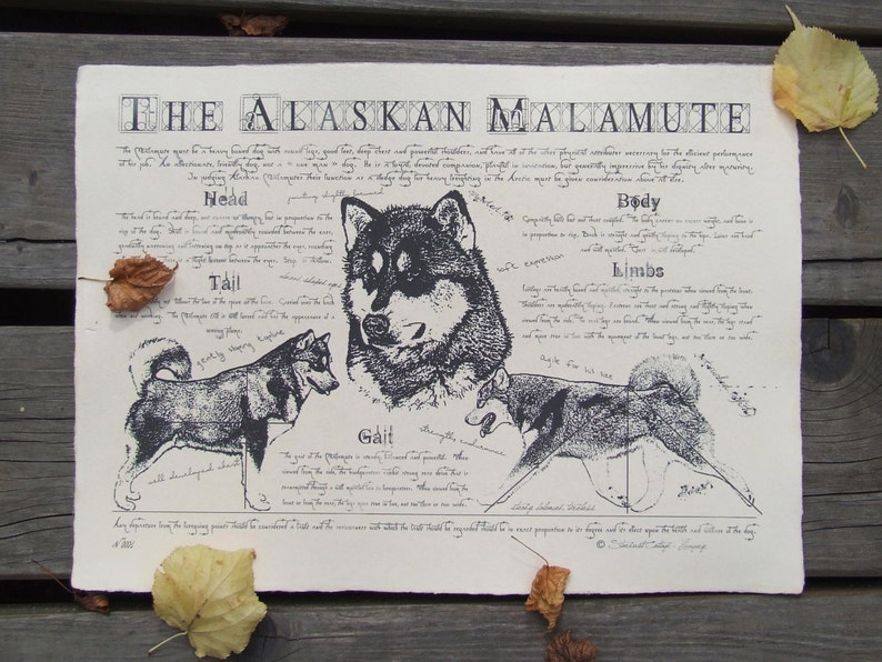 Antique styled dog standard Alaskan Malamute image 1