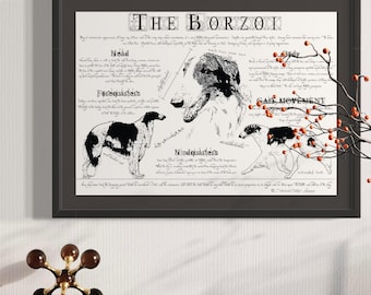 Póster vintage de la raza Borzoi: Impresión en estilo antiguo con dibujo de conformación corporal (descarga digital)