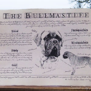 Antique styled dog breed poster - Bullmastiff - Vintage Bullmastiff Poster - Bullmastiff print - Bullmastiff conformation - Bullmastiff gift