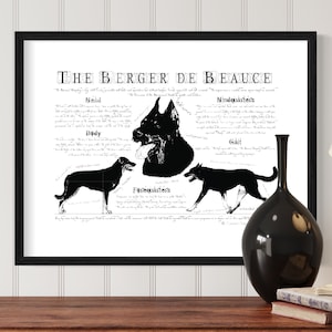 Berger de Beauce dog breed poster Berger de Beauce body conformation Berger de Beauce portre Berger de Beauce dog breed chart image 1