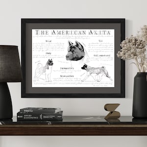 American Akita breed poster, Body conformation, Vintage print, American Akita illustration, Akita gift, digital download, instant download