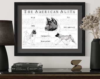 American Akita dog breed poster - Body conformation - American Akita print