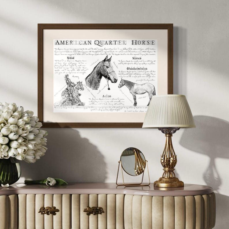Puede incluir: Una ilustraci&oacute;n en blanco y negro de un caballo American Quarter Horse con texto que describe las caracter&iacute;sticas de la raza. El texto incluye las palabras "Action", "Silence", "Build" y "Characteristics". La ilustraci&oacute;n est&aacute; enmarcada en un marco marr&oacute;n y est&aacute; colgada en una pared blanca.