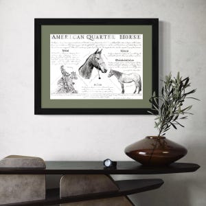 Puede incluir: Una ilustraci&oacute;n en blanco y negro de un caballo American Quarter Horse con texto que describe la historia de la raza, sus caracter&iacute;sticas y su acci&oacute;n. El texto dice "American Quarter Horse", "Historia", "Acci&oacute;n", "Tama&ntilde;o", "Caracter&iacute;sticas".