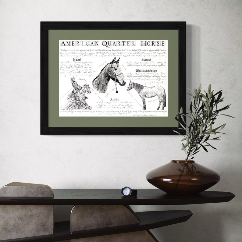 Puede incluir: Una ilustraci&oacute;n en blanco y negro de un caballo American Quarter Horse con texto que describe la historia de la raza, sus caracter&iacute;sticas y su acci&oacute;n. El texto dice "American Quarter Horse", "Historia", "Acci&oacute;n", "Tama&ntilde;o", "Caracter&iacute;sticas".