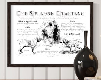 Spinone Italiano poster - Antique styled dog breed poster - Spinone body conformation - Spinone breed chart - Spinone Italiano portre