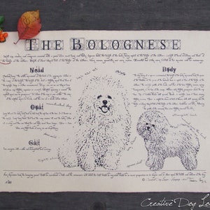 Antique styled dog breed poster - Bolognese