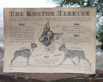 Póster de raza de perro de estilo antiguo: Boston Terrier