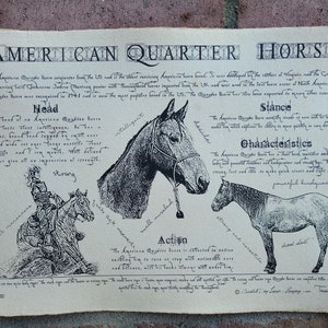 Puede incluir: Una ilustraci&oacute;n de estilo vintage de un caballo American Quarter Horse con texto que describe su cabeza, postura, caracter&iacute;sticas y acci&oacute;n. El texto incluye las palabras "inteligente", "fuerte", "&aacute;gil" y "decil".