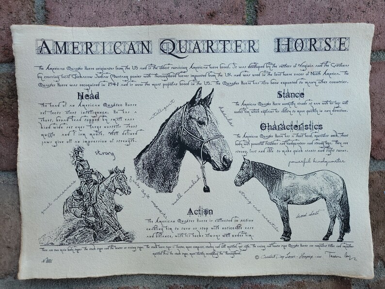 Puede incluir: Una ilustraci&oacute;n de estilo vintage de un caballo American Quarter Horse con texto que describe su cabeza, postura, caracter&iacute;sticas y acci&oacute;n. El texto incluye las palabras "inteligente", "fuerte", "&aacute;gil" y "decil".