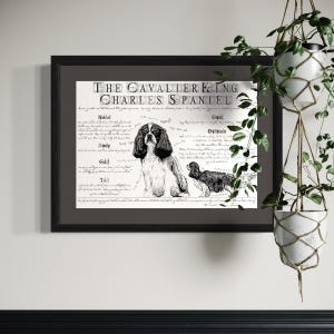 Cavalier King Charles Spaniel Zuchtposter - Vintage Cavalier King Charles Spaniel Zuchtkarte - Vintage Geschenk