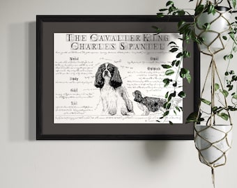 Cavalier King Charles Spaniel Vintage Poster – Dog Breed Chart & Antique Illustration