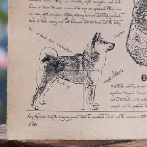 Antique styled dog standard Shiba image 2