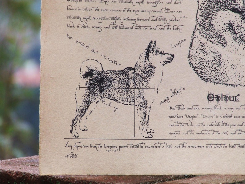 Antique styled dog standard Shiba image 2