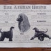 see more listings in the Antique dog standards section