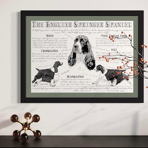 Antique styled dog standard - Spaniel poster - breed description -  Vintage English Springer Spaniel print - English Springer Spaniel gift