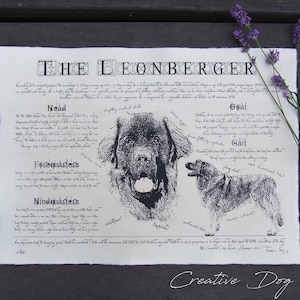 Standard di razza canina in stile antico - Leonberger - Poster vintage Leonberger - Regalo Leonberger