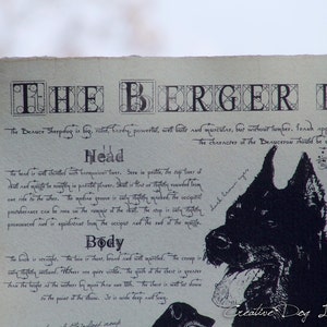 Berger de Beauce dog breed poster Berger de Beauce body conformation Berger de Beauce portre Berger de Beauce dog breed chart image 5