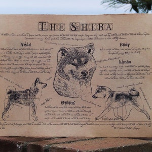 Antique styled dog standard Shiba image 4