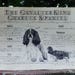 see more listings in the Antique dog standards section