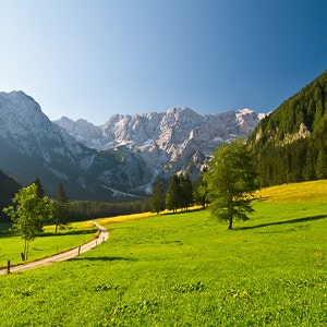 May include: A winding dirt road leads through a lush green valley, surrounded by towering snow-capped mountains and dense forests.