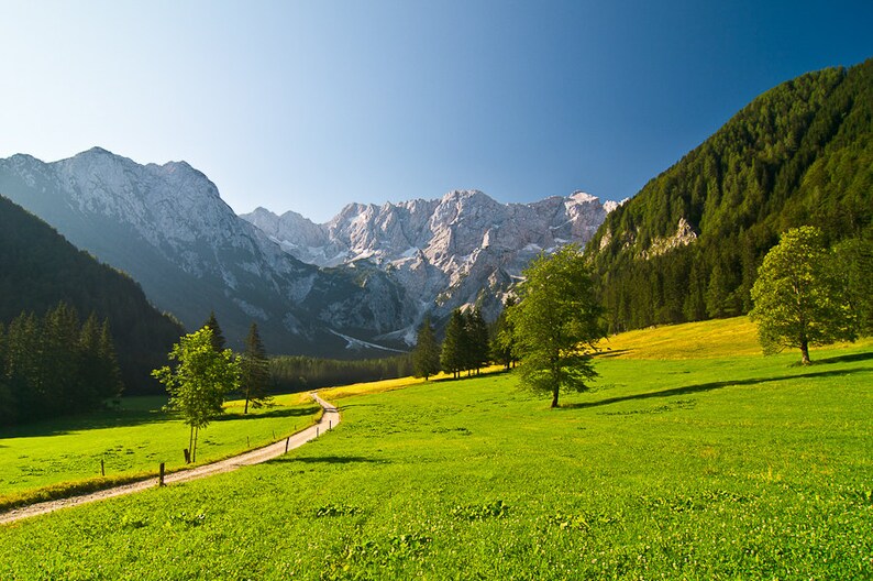 May include: A winding dirt road leads through a lush green valley, surrounded by towering snow-capped mountains and dense forests.