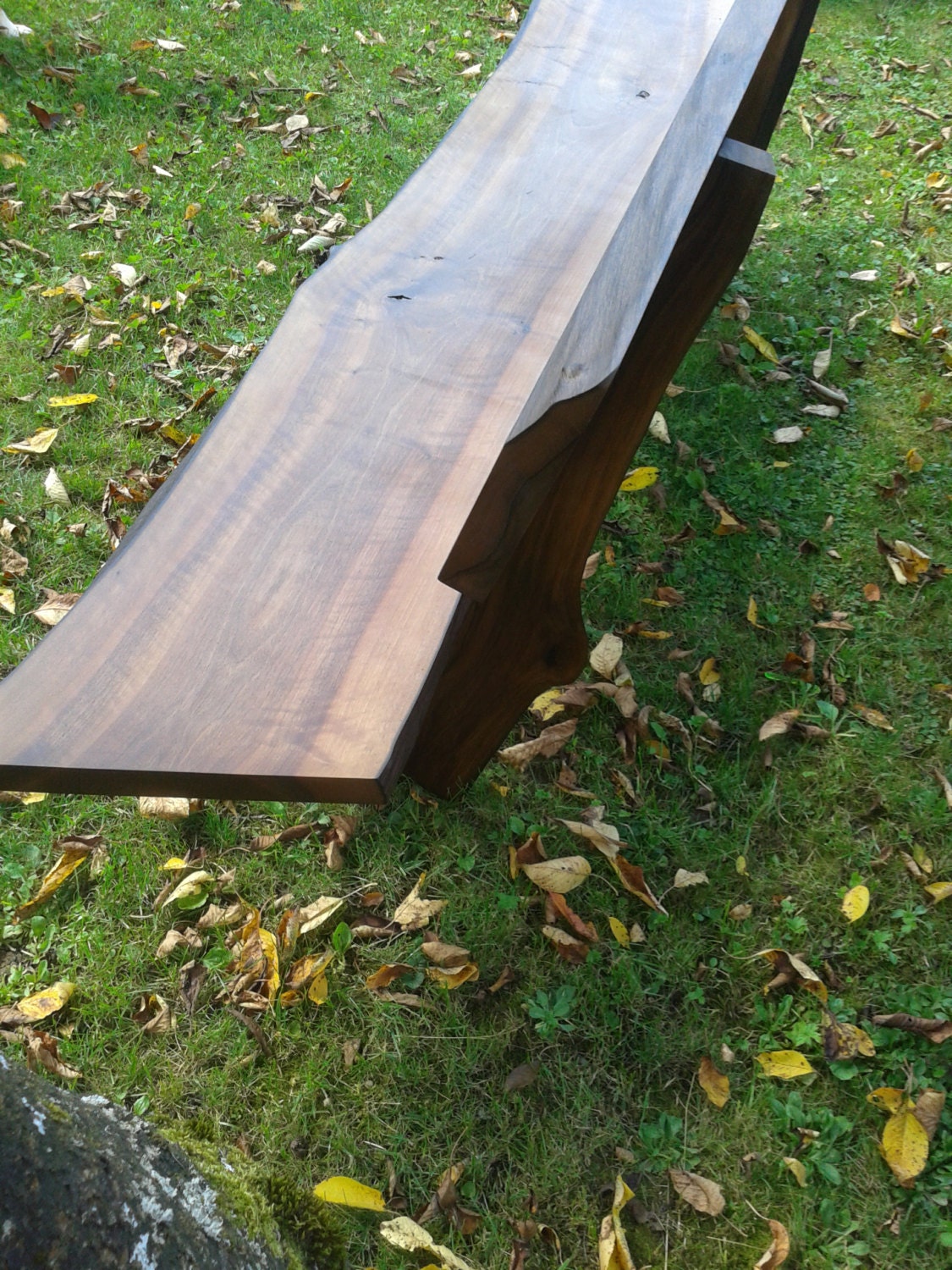 Live Edge Bench With Back Etsy