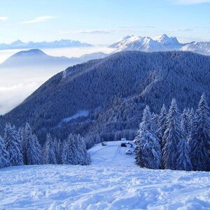 May include: A snowy mountain landscape with a forest of evergreen trees in the foreground. The trees are covered in snow and the mountains in the background are also covered in snow. The sky is blue and there are clouds in the distance.
