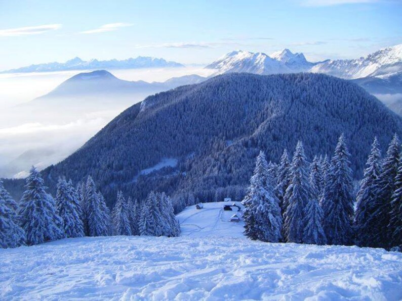 May include: A snowy mountain landscape with a forest of evergreen trees in the foreground. The trees are covered in snow and the mountains in the background are also covered in snow. The sky is blue and there are clouds in the distance.