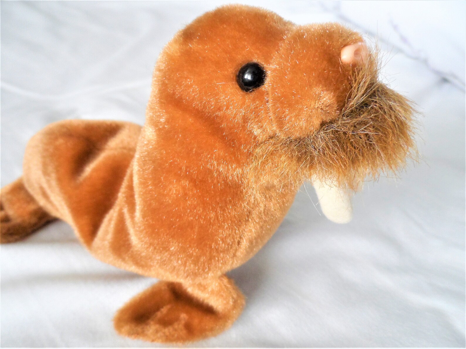 TY Beanie Baby Retired PAUL the Walrus Beanie Babies | Etsy