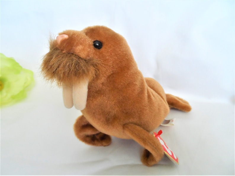 TY Beanie Baby Retired PAUL the Walrus Beanie Babies | Etsy