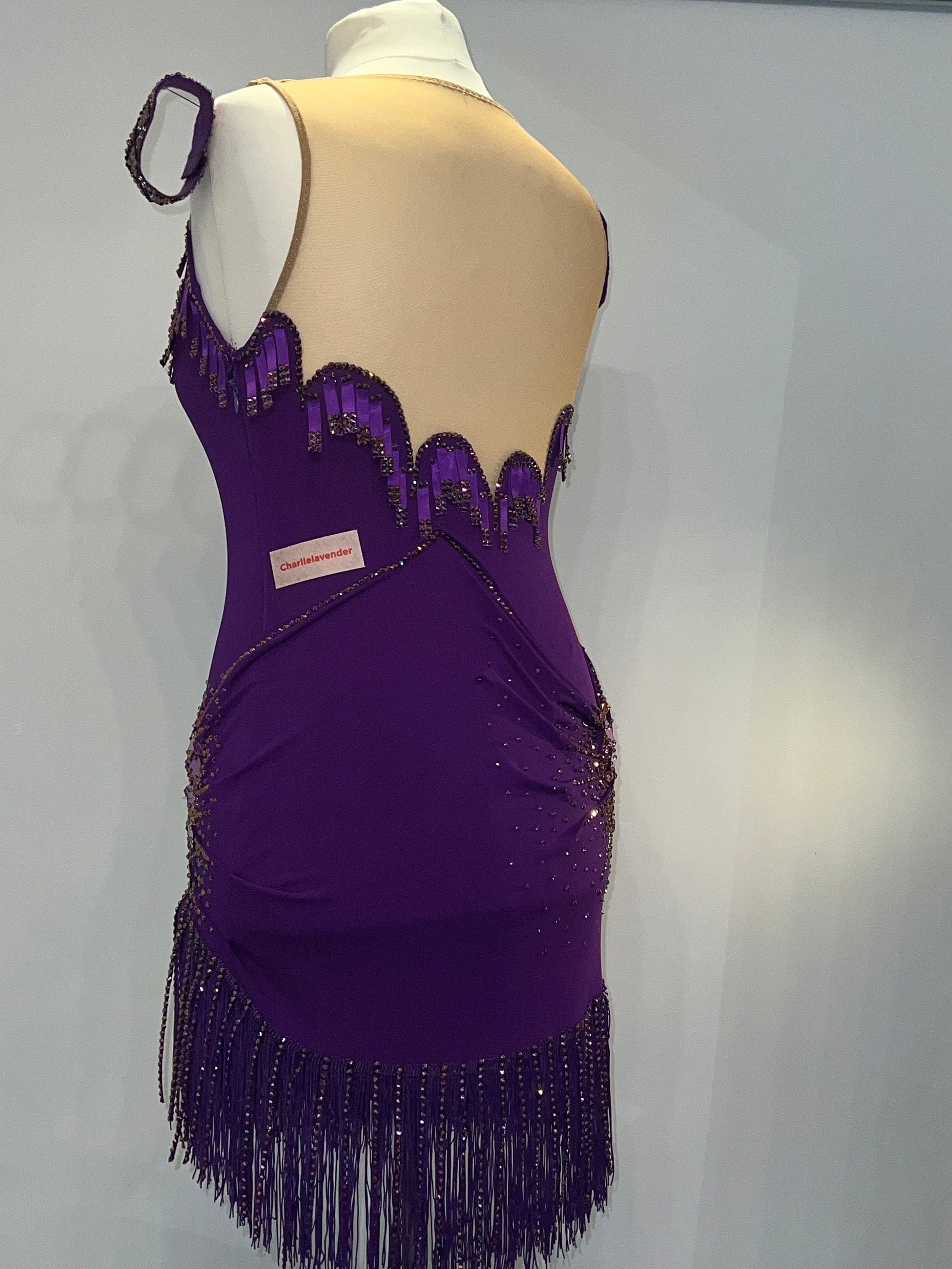 fitted lace wedding dress Feathered Purple Latin Dance Dress main image 1