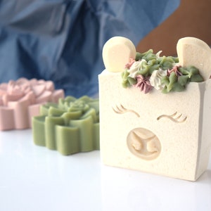 Llama Themed Spa Set, Goat Milk Soaps, succulent, bath bombs, wooden tray, gift, gifts