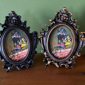 May include: Two ornate oval frames with black and gold finishes, each containing a painting of a yellow and black butterfly with red accents on a brown background.