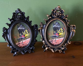 Butterfly Painting In Baroque Frame