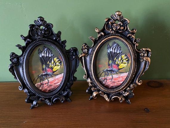 Butterfly Painting In Baroque Frame