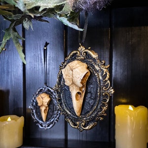 May include: Two ornate gold framed ornaments with black velvet backing, each featuring a white bird skull. The ornaments are hanging from black ribbon on a dark wood background.