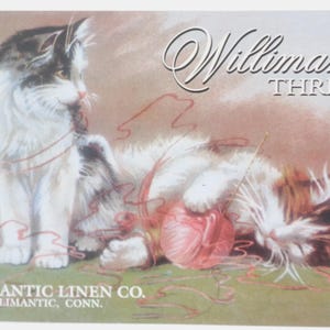 Letrero de hojalata vintage con publicidad de hilo de Willimantic Linen Co.