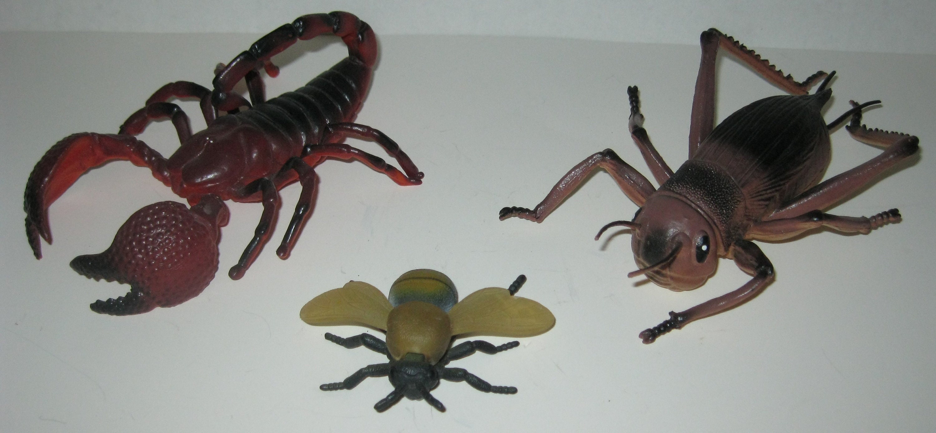 rubber bugs toys