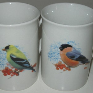 Vintage Finch & Bluebird Mug Set Colorful Song Bird Coffee Mugs (2)