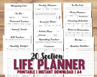 printable a4 monthly budget tracker a4 budget planner sheet etsy