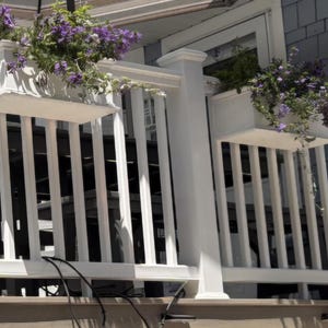 May include: Two white rectangular planter boxes mounted on a white wooden deck railing. Each planter is filled with vibrant purple petunia flowers with green foliage that spills over the edges. The railing features vertical balusters.