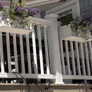 May include: Two white rectangular planter boxes mounted on a white wooden deck railing. Each planter is filled with vibrant purple petunia flowers with green foliage that spills over the edges. The railing features vertical balusters.
