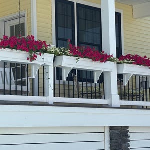 May include: White window boxes filled with vibrant red and white petunias adorn a porch railing. The railing is white with black vertical bars. The house has yellow siding and black window frames, creating a classic, inviting aesthetic.
